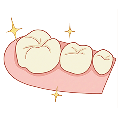 口腔内診査・クリーニングのイラストイメージ